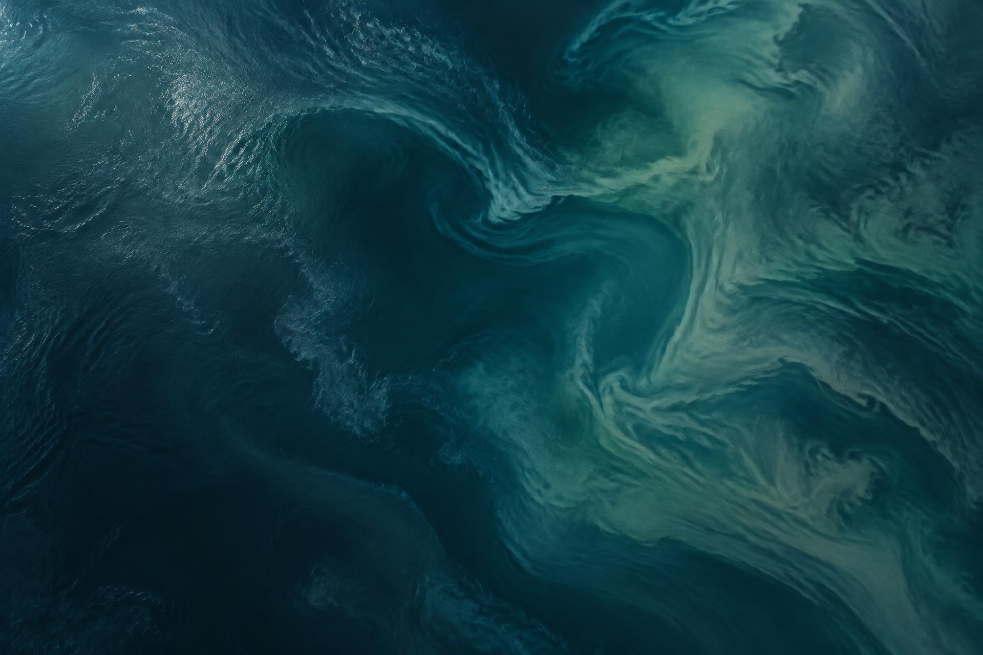 Aerial view of a body of water